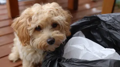 The Ultimate Comparison of Degradable Dog Waste Bags Performance and Sustainability Features