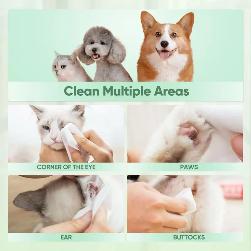 Pet Wipes for Dogs & Cats, Extra Moist & Thick  (3).jpg