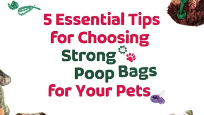 5 Essential Tips for Choosing Strong Poop Bags for Your Pets